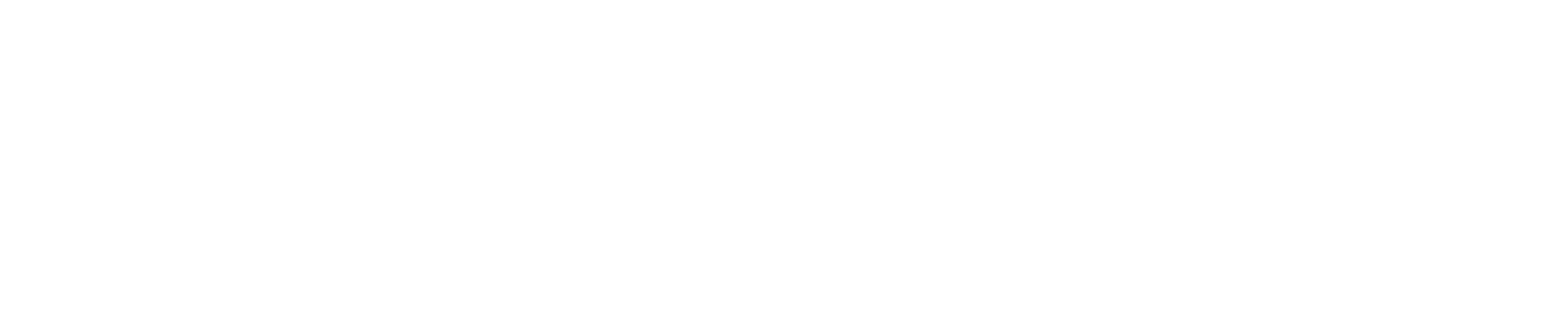 ParkLogic Banner